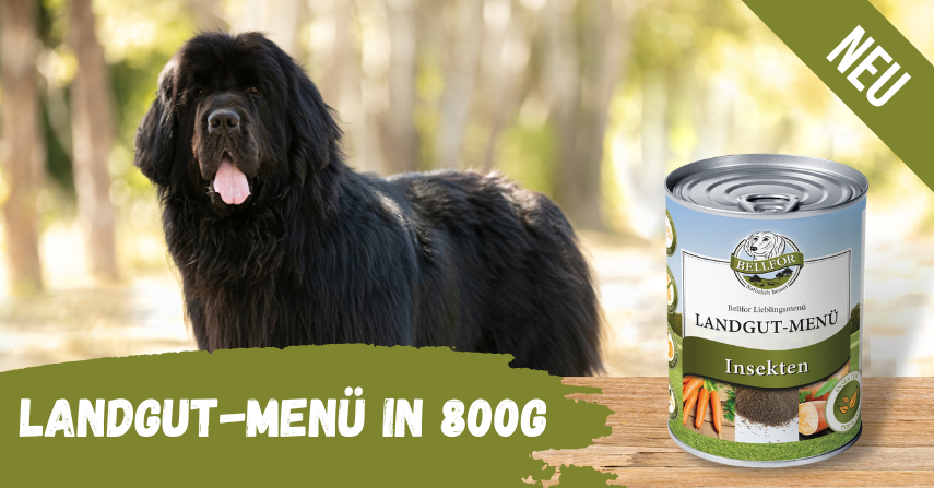 Landgut-Menü 800g Landgut-Menü 800g